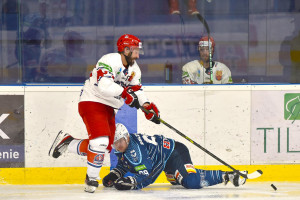 dsc_1032 kopie.jpg